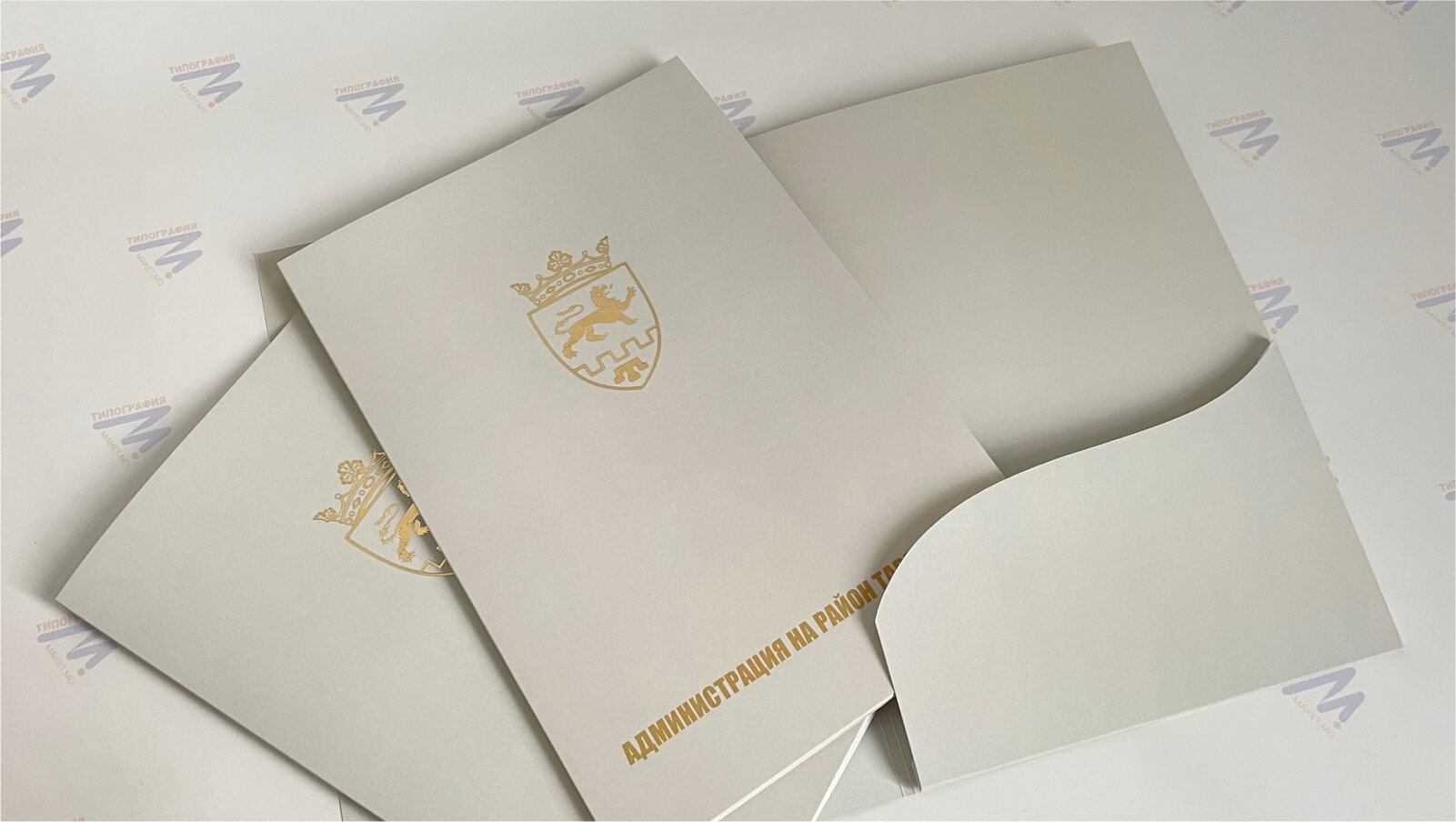 папка из дизайнерской бумаги тиснение золотом лев бежевые шелкография 2