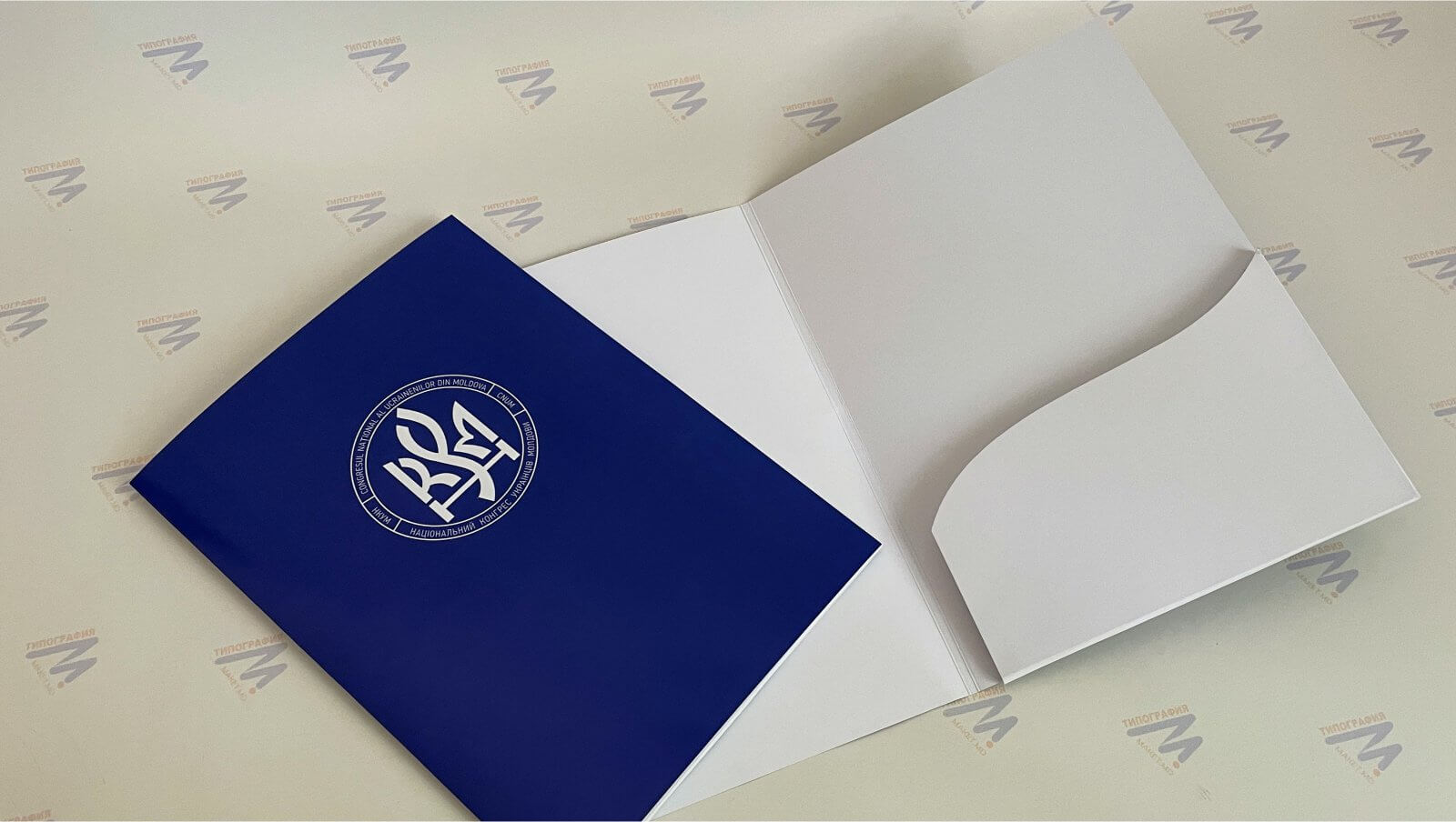 папки с логотипом компании синие с кармашком для документов фото 3